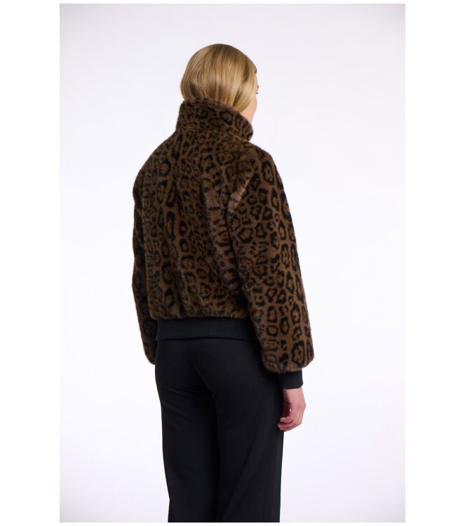 Rino & Pelle Ambra.7012511 Bruin