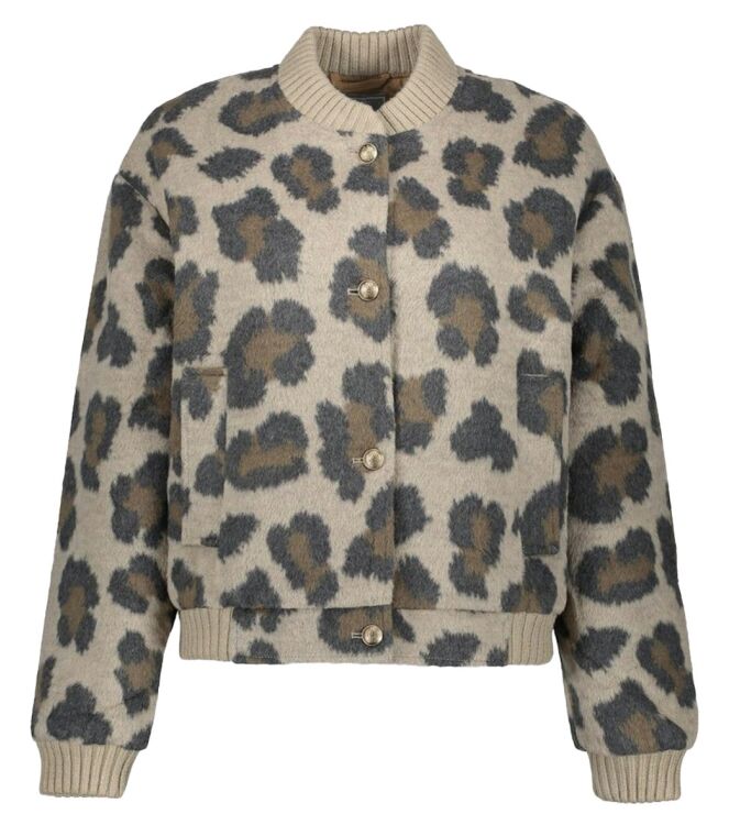 Geisha 55521-10 Bruin