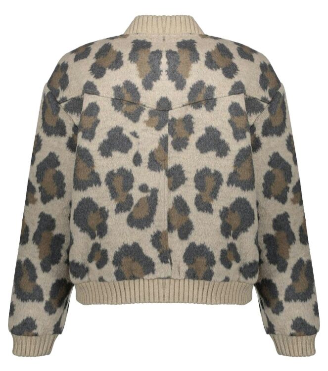 Geisha 55521-10 Bruin