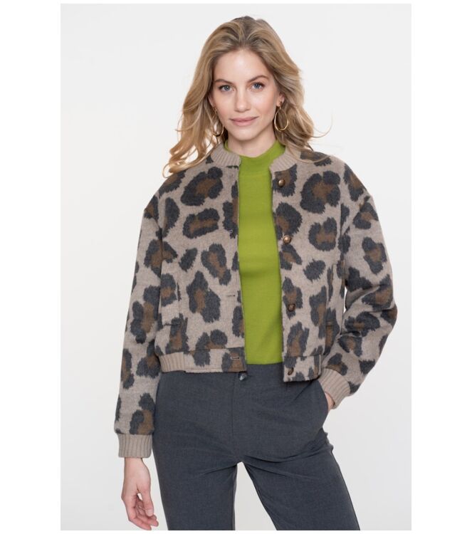 Geisha 55521-10 Bruin