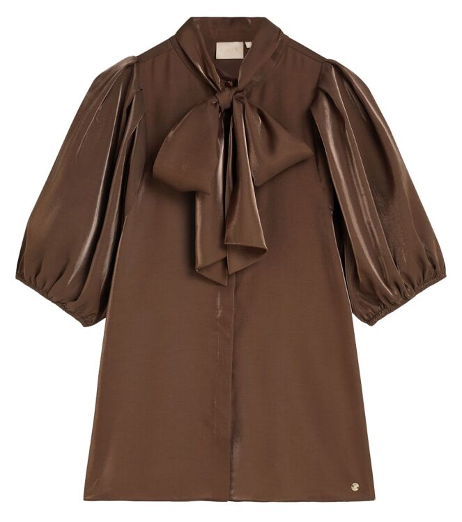 Josh V JV-2508-0108 Bruin