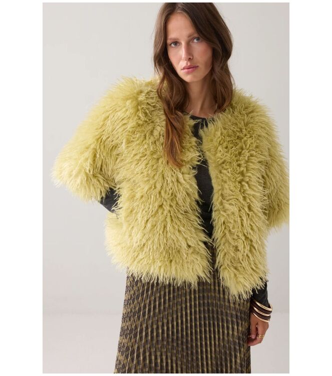 Summum 1s1194-12290 Groen