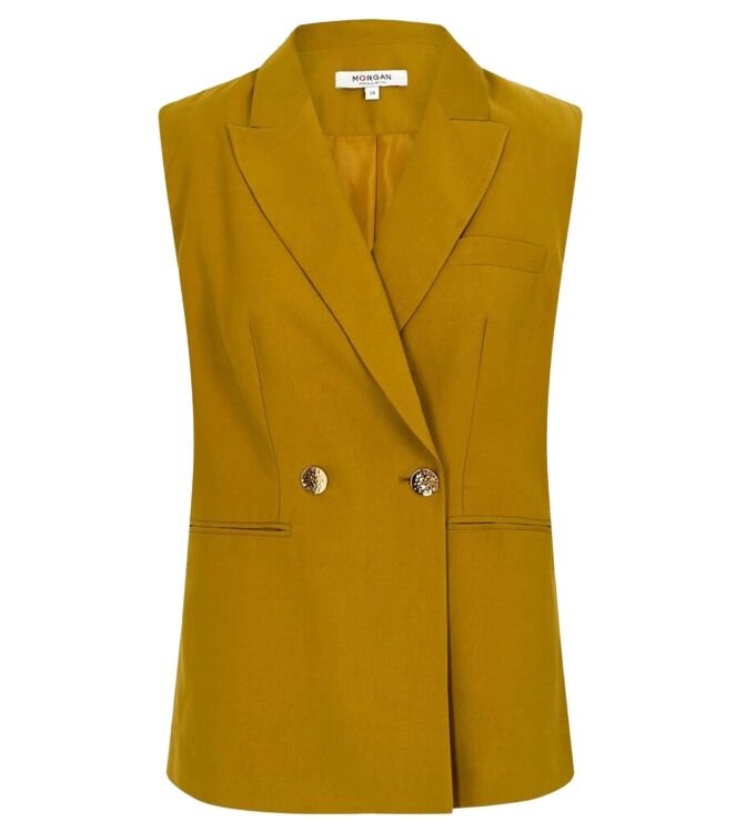 Morgan 252-VFIJA.F Geel