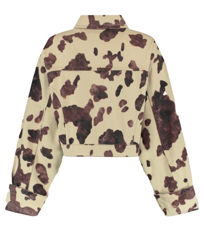 Harper and Yve AW25D204 Bruin