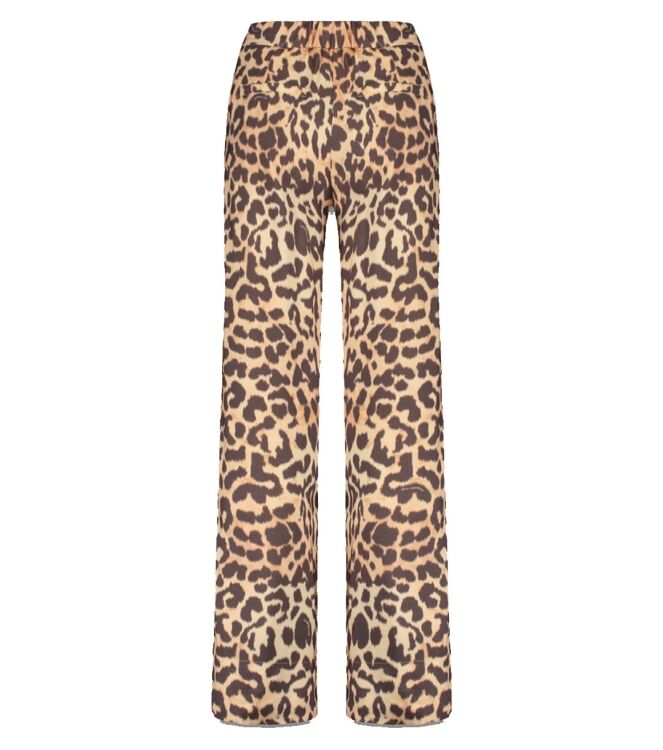 Harper and Yve AW25P104 Bruin