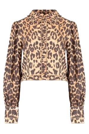 Harper and Yve ELLIE-LS 1101 lexie leopard Harper and Yve ELLIE-LS 1101 lexie leopard