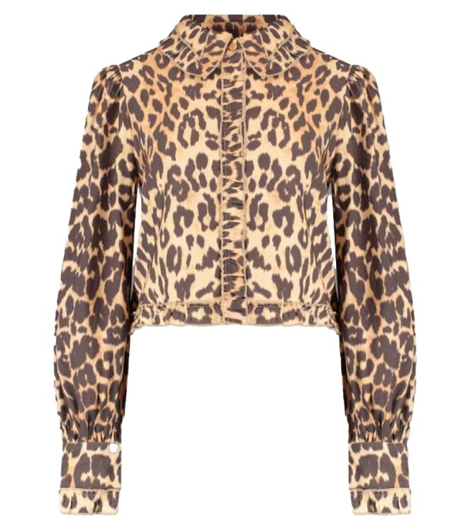 Harper and Yve AW25P609 Bruin