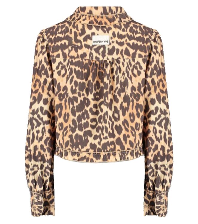 Harper and Yve AW25P609 Bruin