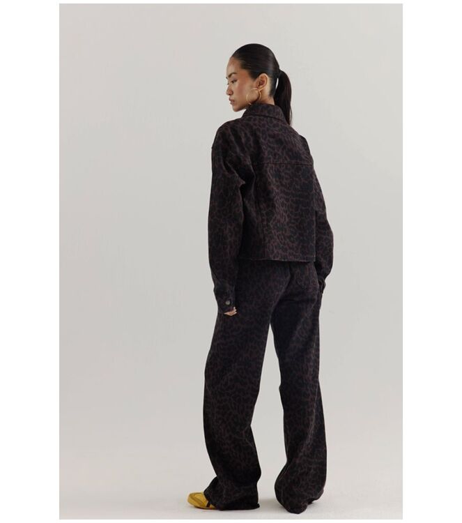 Harper and Yve AW25R102 Bruin