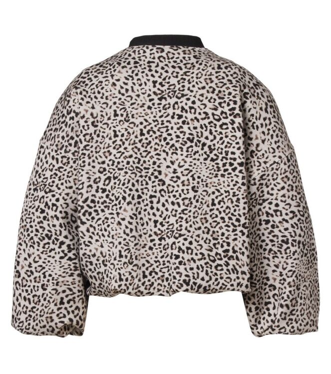 Beaumont BC59010253 Bruin