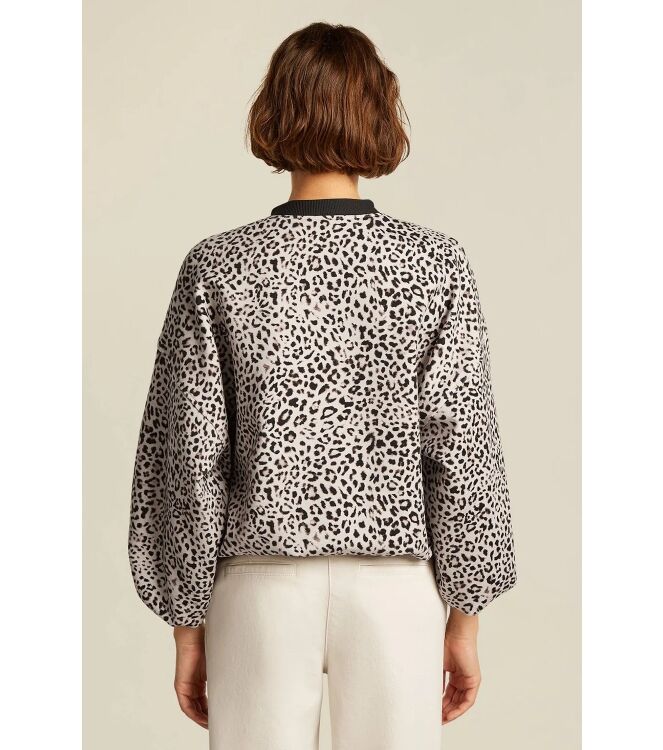 Beaumont BC59010253 Bruin