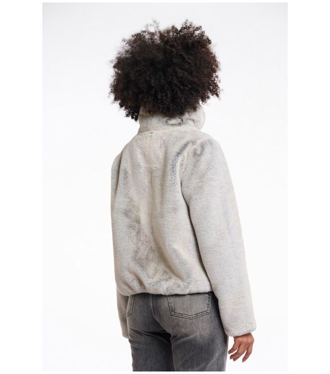 Rino & Pelle Sallie.7012512 Grijs