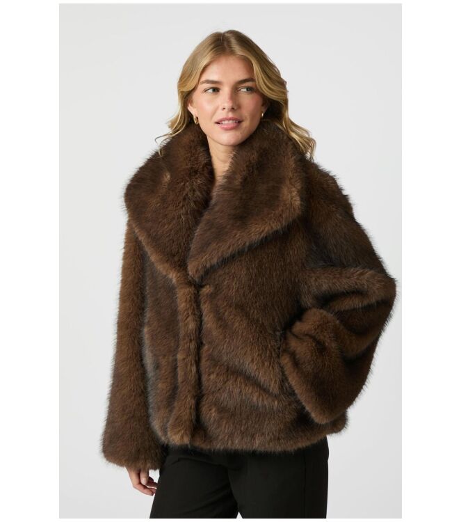 Neo Noir 162628 Bruin