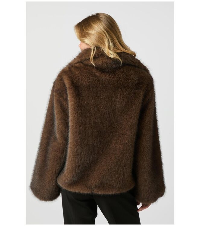 Neo Noir 162628 Bruin