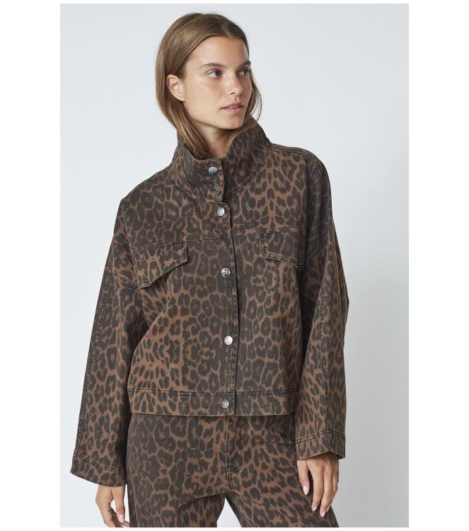 Co\'Couture 35944 Bruin