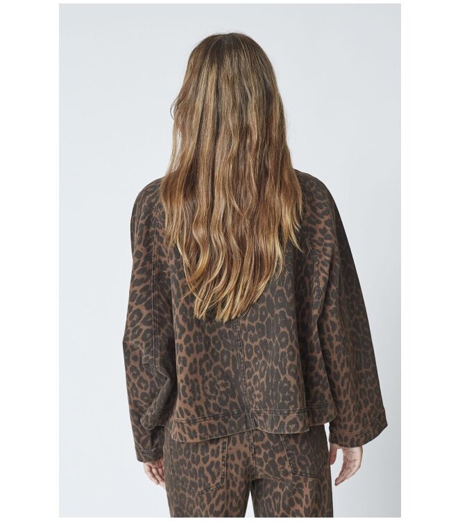 Co\'Couture 35944 Bruin
