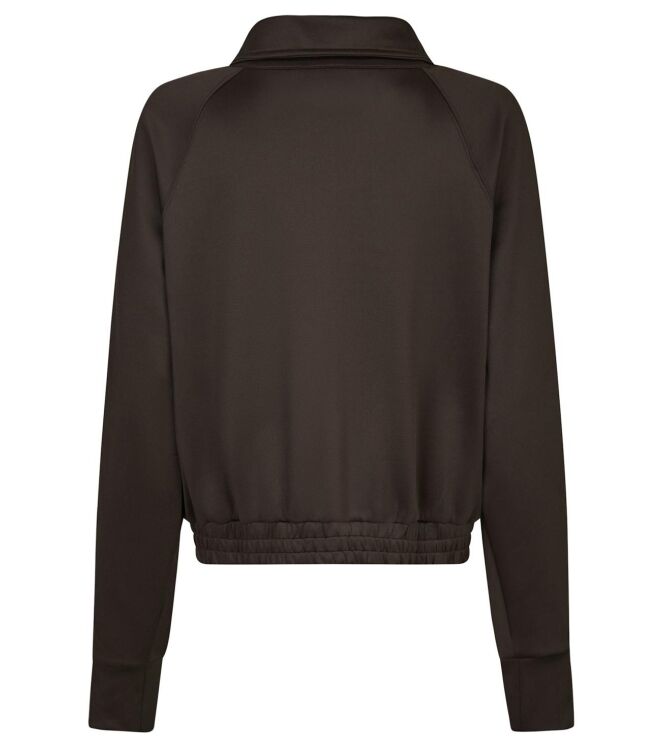 Neo Noir 164247 Bruin