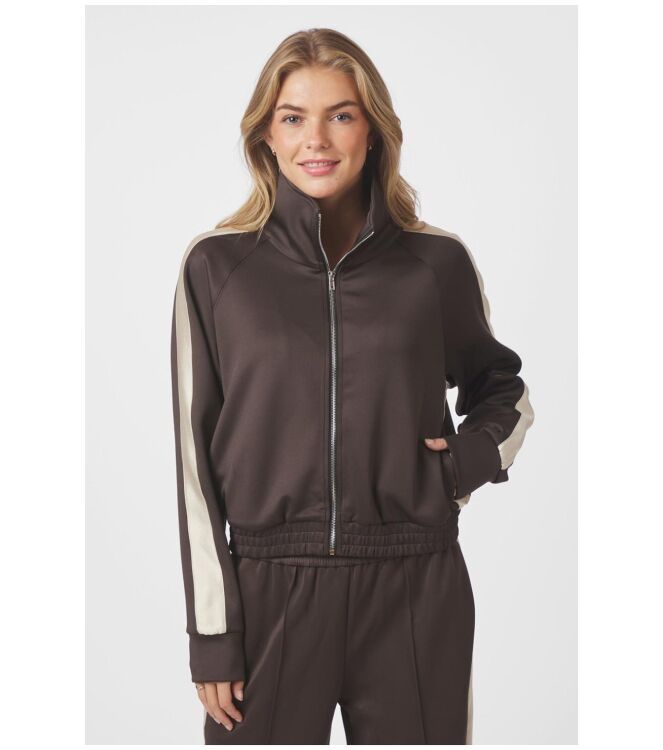 Neo Noir 164247 Bruin