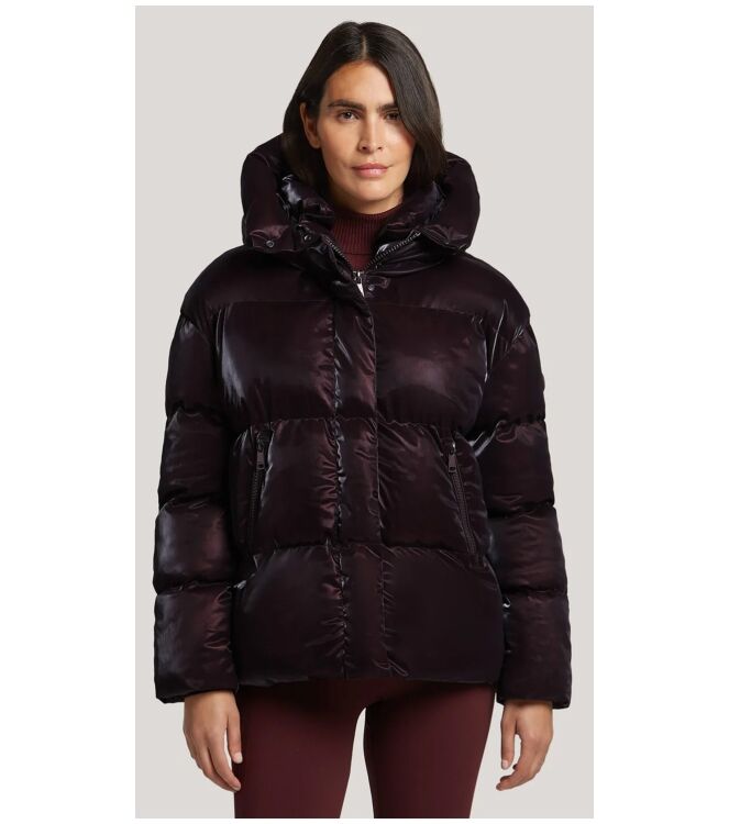 Reset LR01610253 Paars