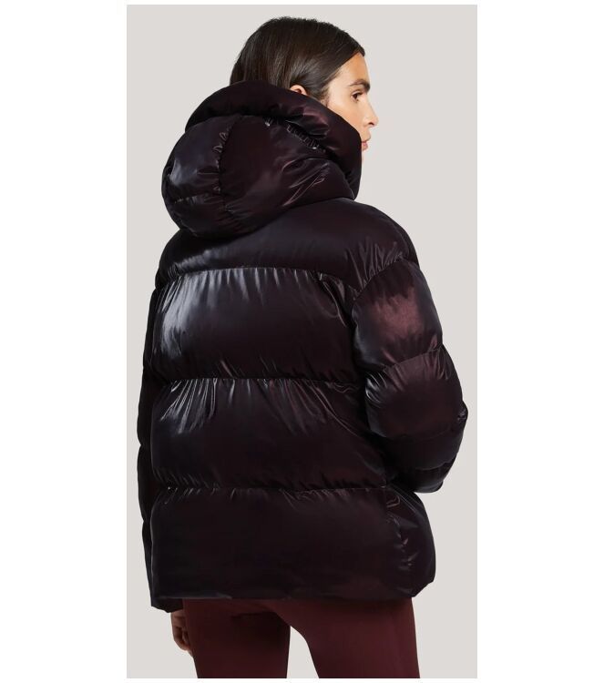 Reset LR01610253 Paars