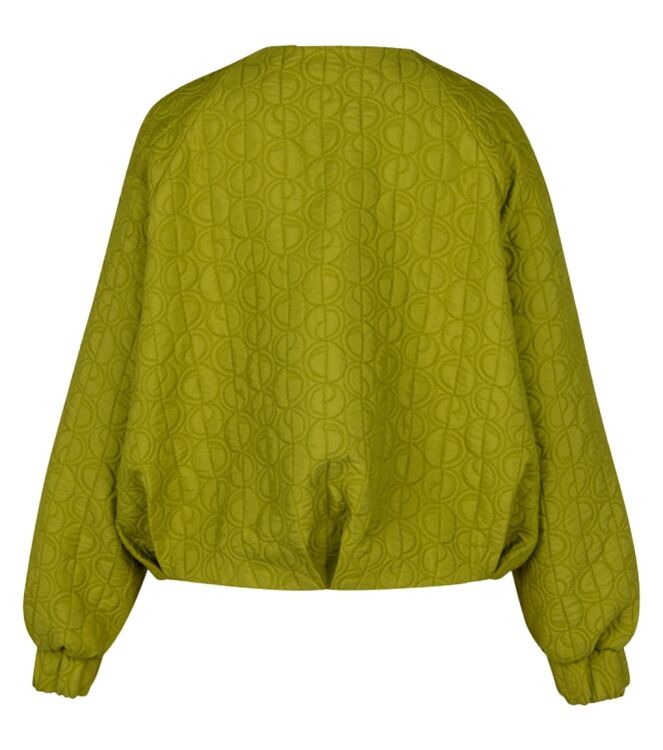 Studio Anneloes 13477 Groen