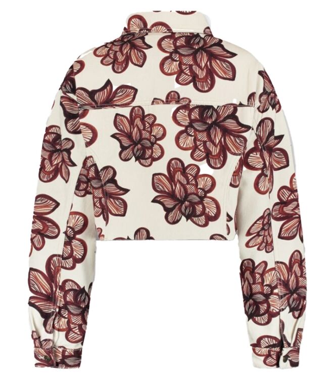 Harper and Yve SS6D200 Bruin