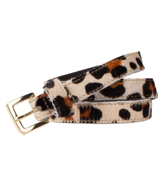 Legend by Petrol 20803 Bruin