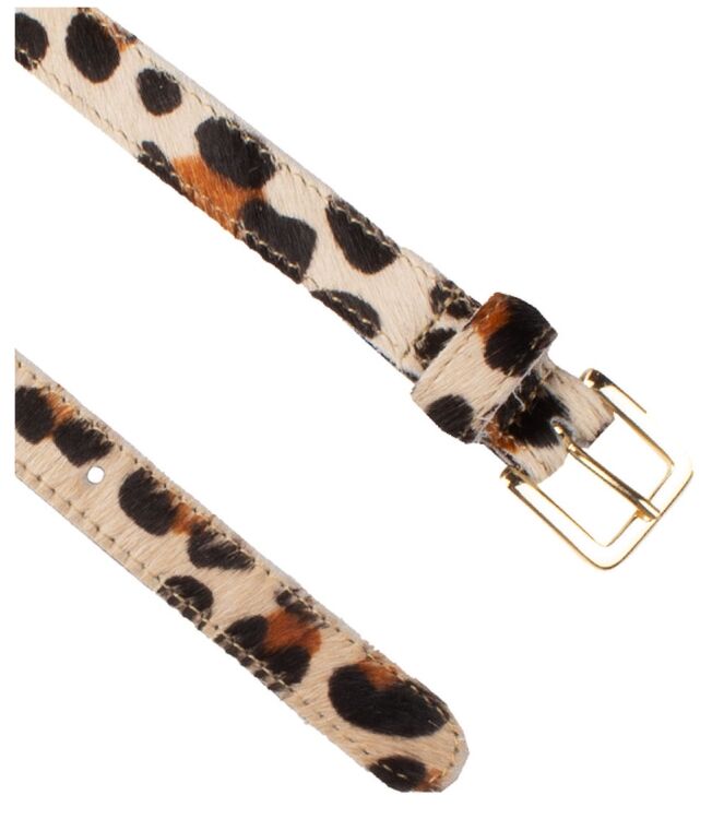 Legend by Petrol 20803 Bruin