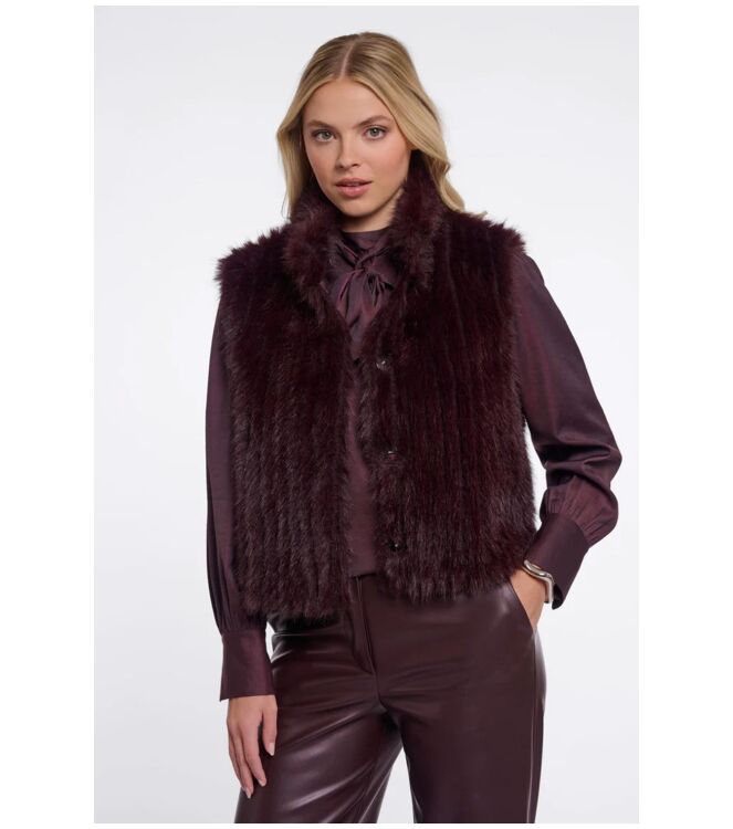 Rino & Pelle Dava.7002611.2 Bruin