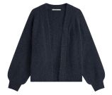 Kleur Blauw