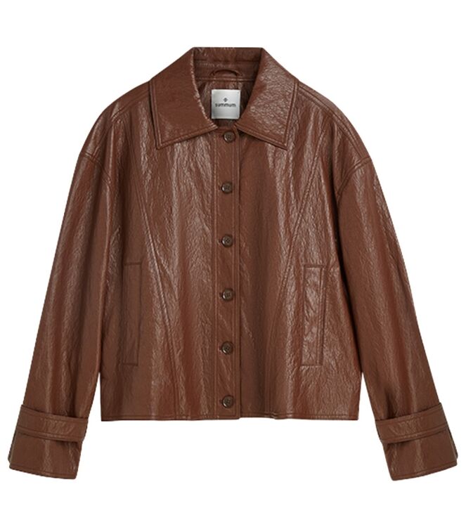 Summum 1s1309-12511 Bruin