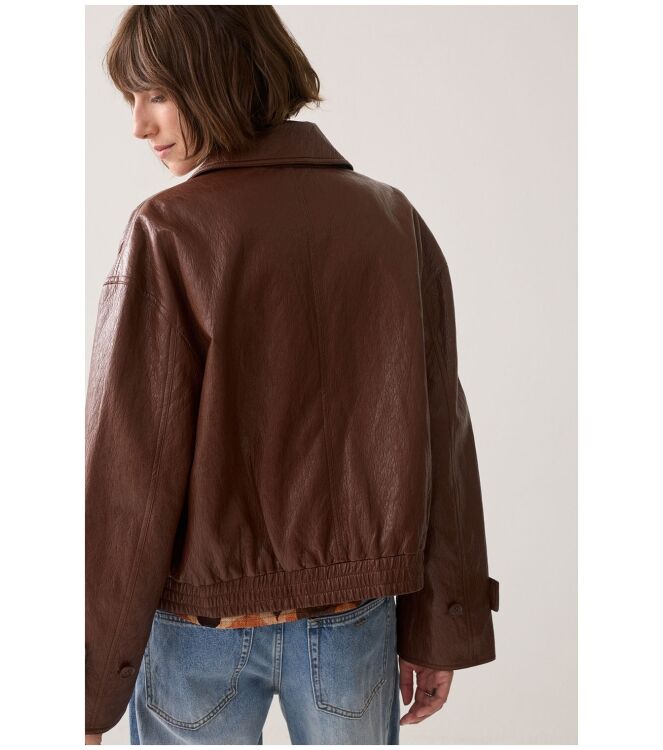 Summum 1s1309-12511 Bruin