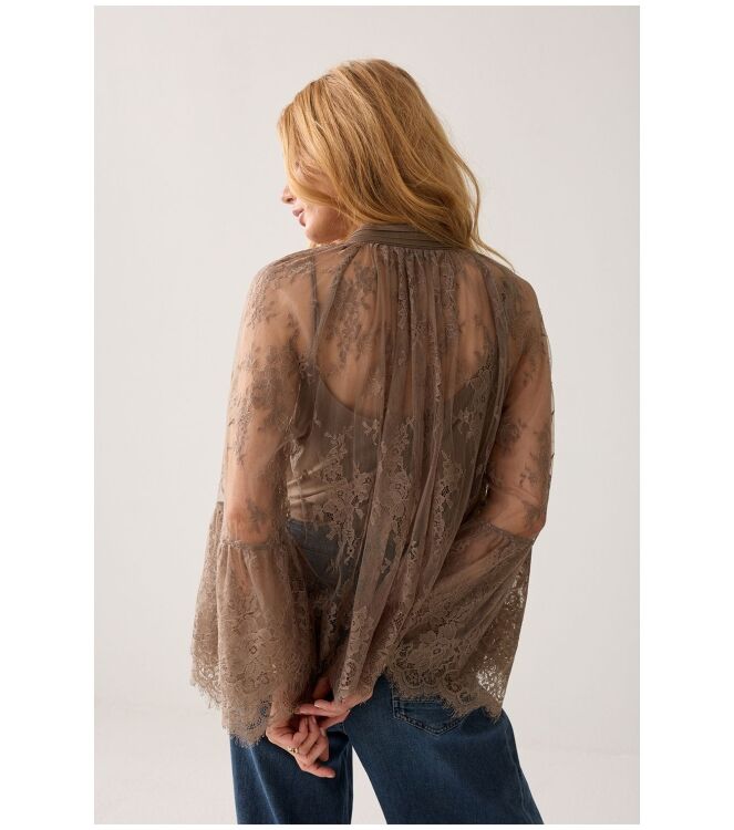 Summum 2s3510-12517 Bruin