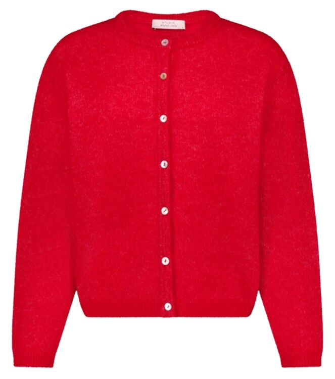 Studio Anneloes 14408 Rood
