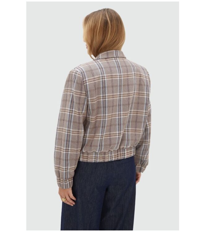 Josh V JV-2608-0306 Bruin