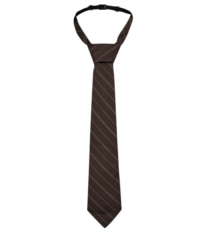 Haute L\'amitié HL10877 Bruin