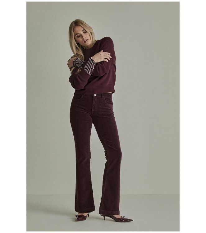 Para Mi FW261.104070 Rood