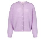 Kleur Paars