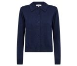 Kleur Blauw